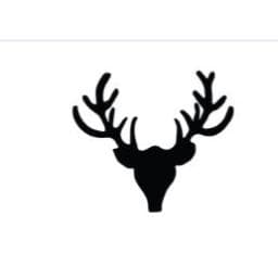 Taxidermy US